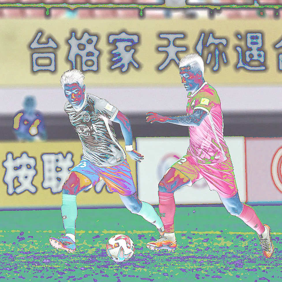 FIFA ASEAN Cup: Champion Indonesia and a project being abandoned