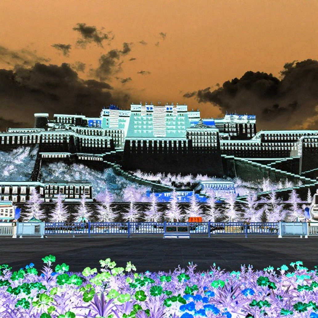 Giải mã cú sốc Lee Kang-in: Khi sân cỏ Incheon sinh ra một nhà kiến trúc sư không gian